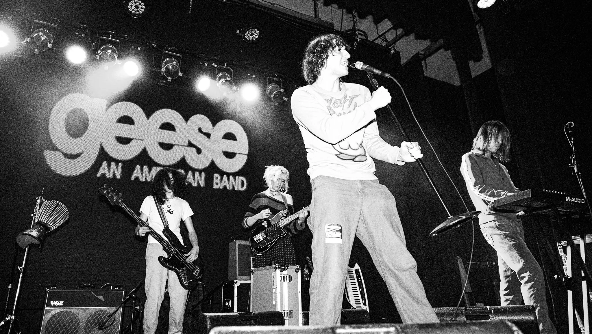 Geese live on tour
